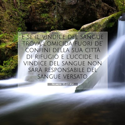 Numeri 35:27 Versetto della Bibbia Spiegato