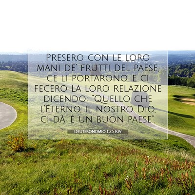 Deuteronomio 1:25 Versetto della Bibbia Spiegato