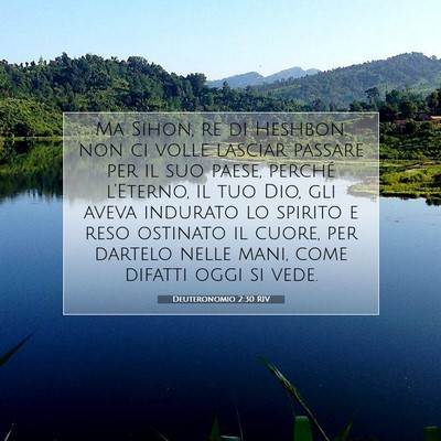 Deuteronomio 2:30 Versetto della Bibbia Spiegato
