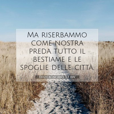Deuteronomio 3:7 Versetto della Bibbia Spiegato
