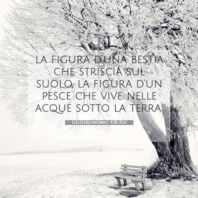 Deuteronomio 4:18 Versetto della Bibbia Spiegato