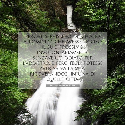 Deuteronomio 4:42 Versetto della Bibbia Spiegato