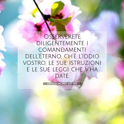 Deuteronomio 6:17 Versetto della Bibbia Spiegato