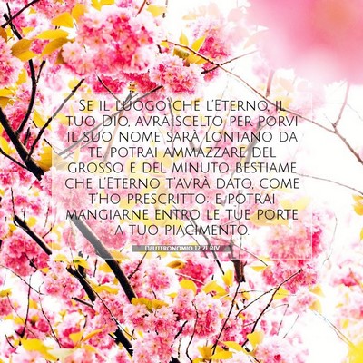 Deuteronomio 12:21 RIV Immagine del Versetto della Bibbia