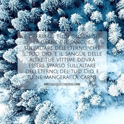 Deuteronomio 12:27 Versetto della Bibbia Spiegato