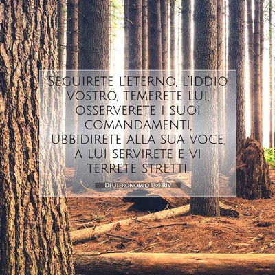 Deuteronomio 13:4 Versetto della Bibbia Spiegato