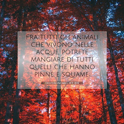Deuteronomio 14:9 Versetto della Bibbia Spiegato