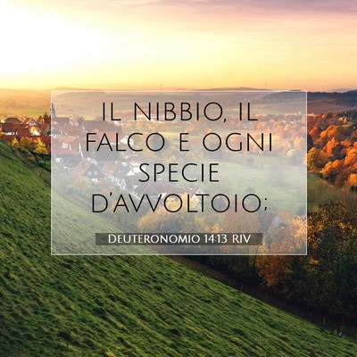 Deuteronomio 14:13 Versetto della Bibbia Spiegato