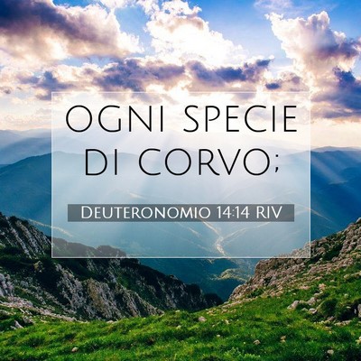 Deuteronomio 14:14 Versetto della Bibbia Spiegato