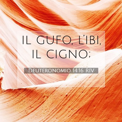 Deuteronomio 14:16 Versetto della Bibbia Spiegato