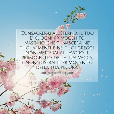 Deuteronomio 15:19 Versetto della Bibbia Spiegato