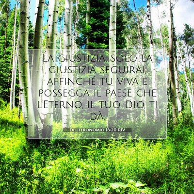 Deuteronomio 16:20 RIV Immagine del Versetto della Bibbia