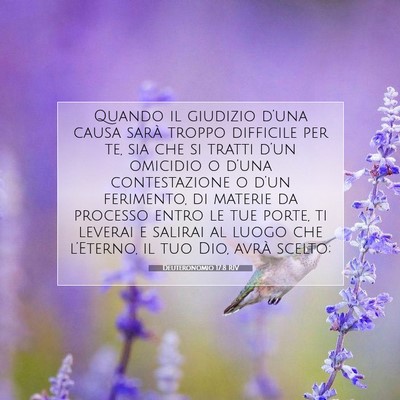 Deuteronomio 17:8 RIV Immagine del Versetto della Bibbia