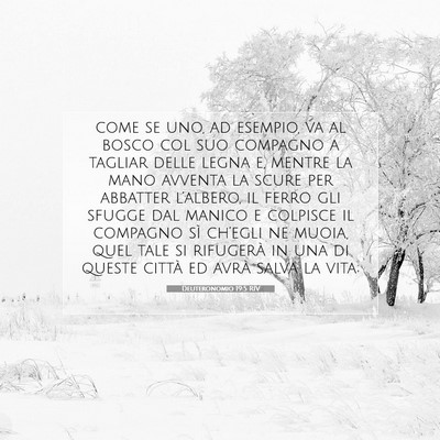 Deuteronomio 19:5 Versetto della Bibbia Spiegato