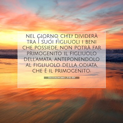 Deuteronomio 21:16 Versetto della Bibbia Spiegato