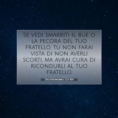Deuteronomio 22:1 Versetto della Bibbia Spiegato