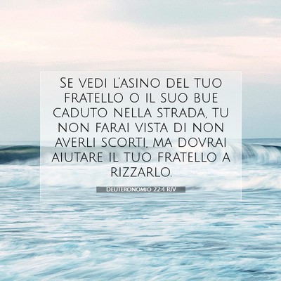 Deuteronomio 22:4 Versetto della Bibbia Spiegato
