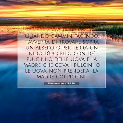 Deuteronomio 22:6 Versetto della Bibbia Spiegato