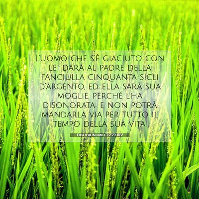 Deuteronomio 22:29 RIV Immagine del Versetto della Bibbia