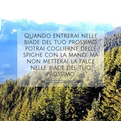 Deuteronomio 23:25 RIV Immagine del Versetto della Bibbia