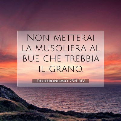 Deuteronomio 25:4 Versetto della Bibbia Spiegato