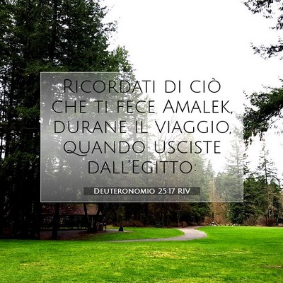 Deuteronomio 25:17 Versetto della Bibbia Spiegato
