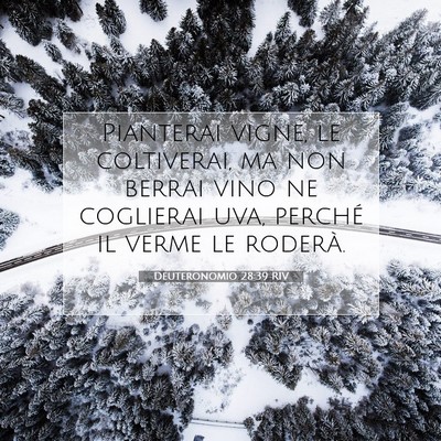 Deuteronomio 28:39 RIV Immagine del Versetto della Bibbia