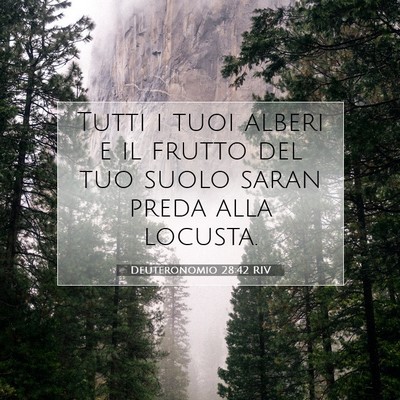 Deuteronomio 28:42 RIV Immagine del Versetto della Bibbia