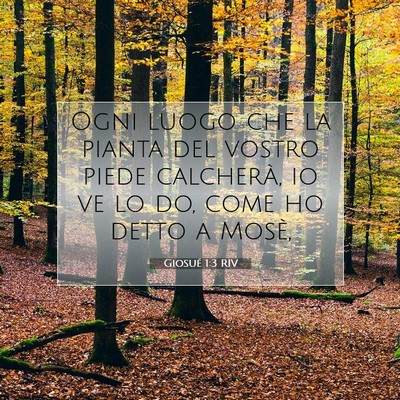 Giosué 1:3 Versetto della Bibbia Spiegato