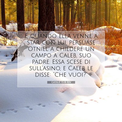 Giosué 15:18 Versetto della Bibbia Spiegato