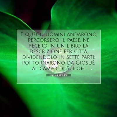 Giosué 18:9 Versetto della Bibbia Spiegato