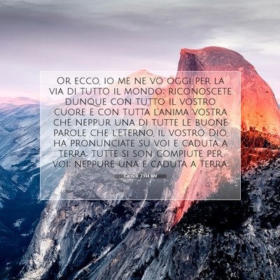 Giosué 23:14 RIV Immagine del Versetto della Bibbia