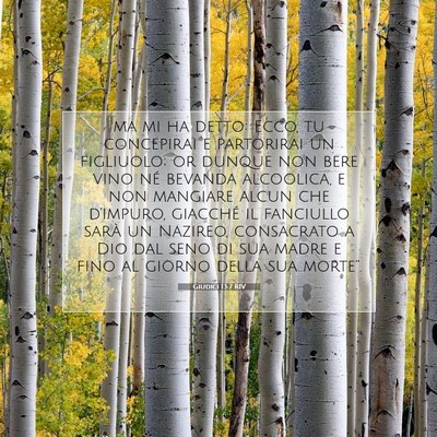 Giudici 13:7 Versetto della Bibbia Spiegato