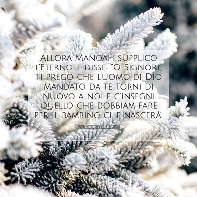 Giudici 13:8 RIV Immagine del Versetto della Bibbia