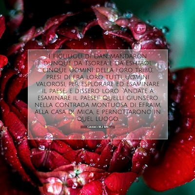 Giudici 18:2 RIV Immagine del Versetto della Bibbia