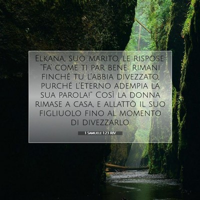 1 Samuele 1:23 Versetto della Bibbia Spiegato