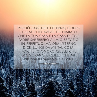 1 Samuele 2:30 RIV Immagine del Versetto della Bibbia
