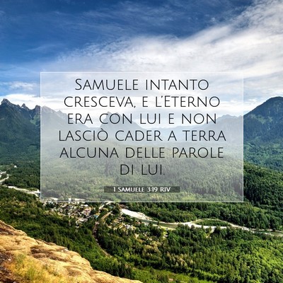1 Samuele 3:19 RIV Immagine del Versetto della Bibbia