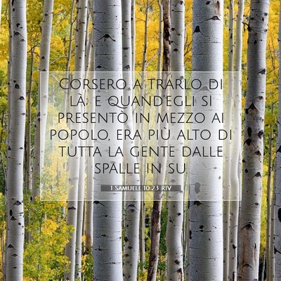 1 Samuele 10:23 Versetto della Bibbia Spiegato