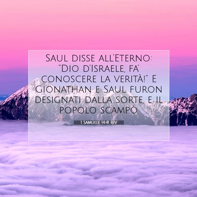 1 Samuele 14:41 RIV Immagine del Versetto della Bibbia
