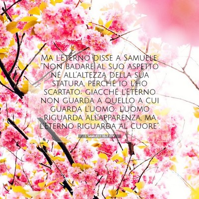 1 Samuele 16:7 RIV Immagine del Versetto della Bibbia