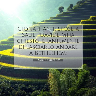 1 Samuele 20:28 Versetto della Bibbia Spiegato