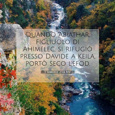 1 Samuele 23:6 Versetto della Bibbia Spiegato