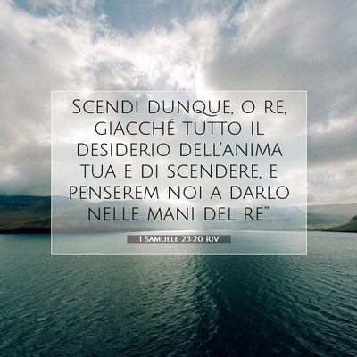 1 Samuele 23:20 Versetto della Bibbia Spiegato