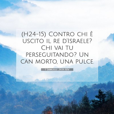1 Samuele 24:14 Versetto della Bibbia Spiegato