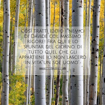 1 Samuele 25:22 RIV Immagine del Versetto della Bibbia