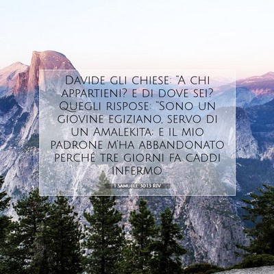 1 Samuele 30:13 RIV Immagine del Versetto della Bibbia
