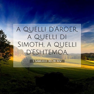 1 Samuele 30:28 Versetto della Bibbia Spiegato