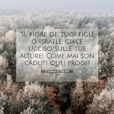 2 Samuele 1:19 RIV Immagine del Versetto della Bibbia