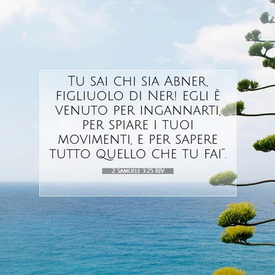 2 Samuele 3:25 Versetto della Bibbia Spiegato